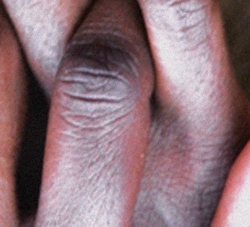 225-cover-banner