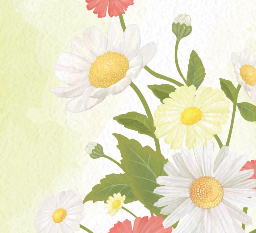 248-c-banner